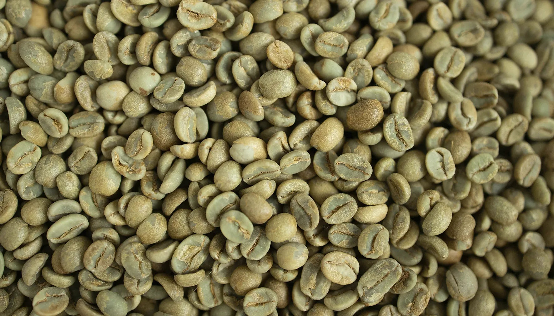 Grüner Kaffee